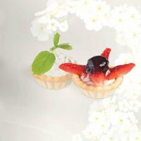 Gazoz Kapağı Tartalet 448li